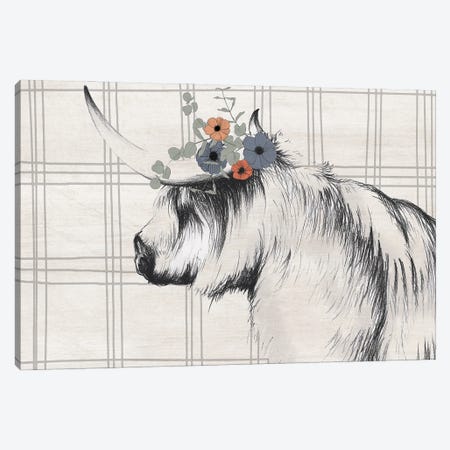 Highland Cow In Gray Canvas Print #WHL6} by White Ladder Canvas Wall Art