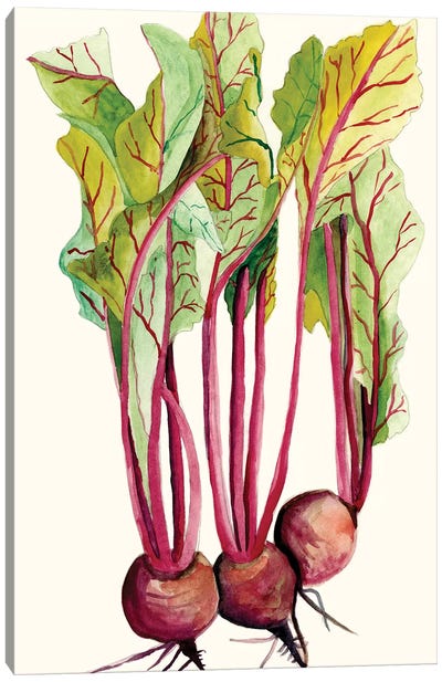 Early Harvest II Canvas Art Print - Vegetable Art