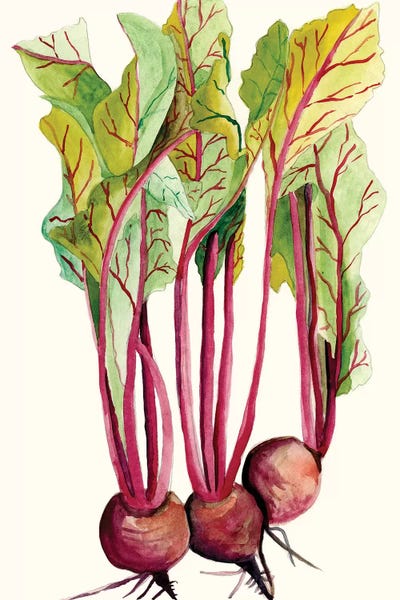 Alicia Ludwig: Early Harvest II by Alicia Ludwig