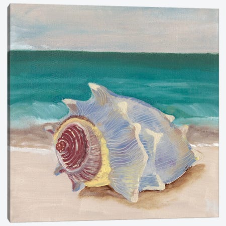 She Sells Seashells I Canvas Print #WIG125} by Alicia Ludwig Canvas Art