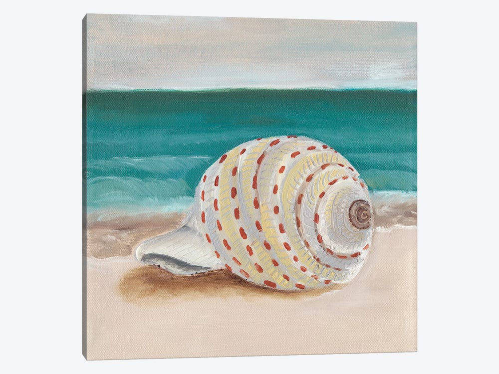 She Sells Seashells II by Alicia Ludwig 1-piece Canvas Art