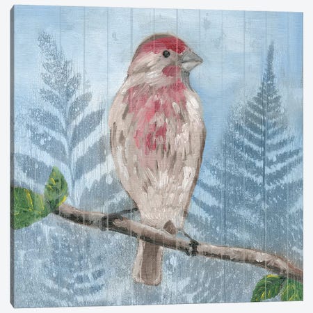 Eastern Songbird I Canvas Print #WIG127} by Alicia Ludwig Canvas Art