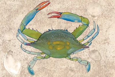 Crabulous I by Alicia Ludwig metal wall art