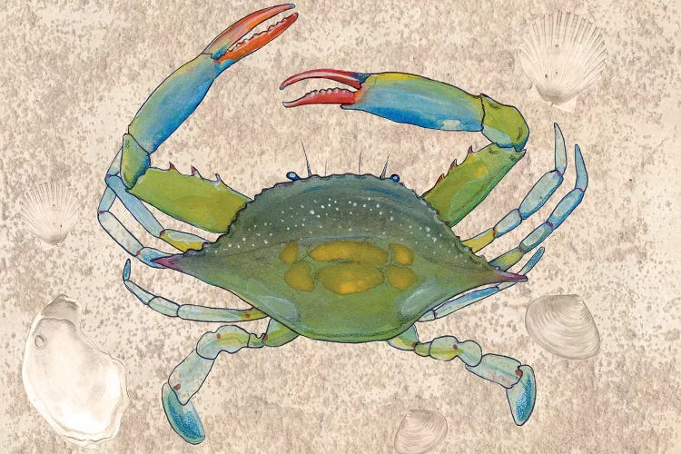 Crabulous I by Alicia Ludwig wall art