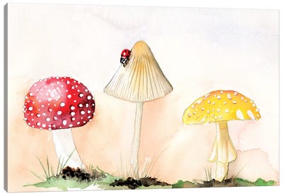 Faerie Mushrooms I Canvas Art Print - Mushroom Art