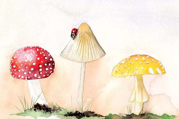 Alicia Ludwig: Faerie Mushrooms I by Alicia Ludwig