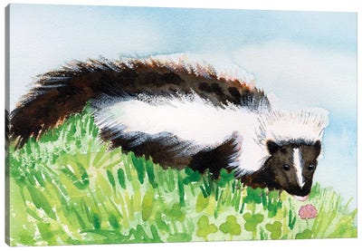 Baby Spring Animals VIII Canvas Art Print - Skunk Art