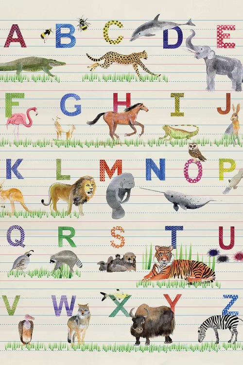 Alphabet Animals Canvas Art Print by Alicia Ludwig | iCanvas