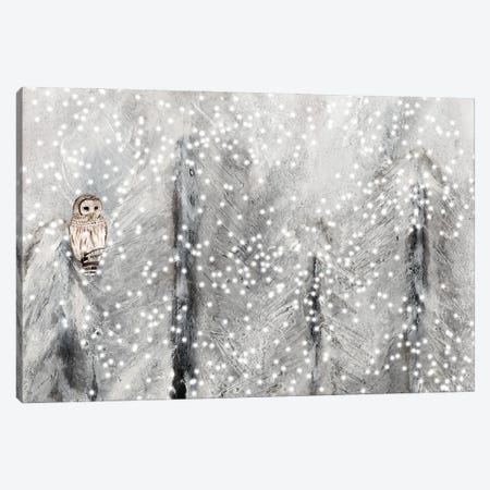 Snowy Habitat II Canvas Print #WIG230} by Alicia Ludwig Canvas Art Print