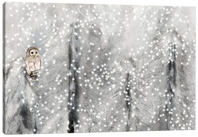 Snowy Habitat II Canvas Art Print - Alicia Ludwig
