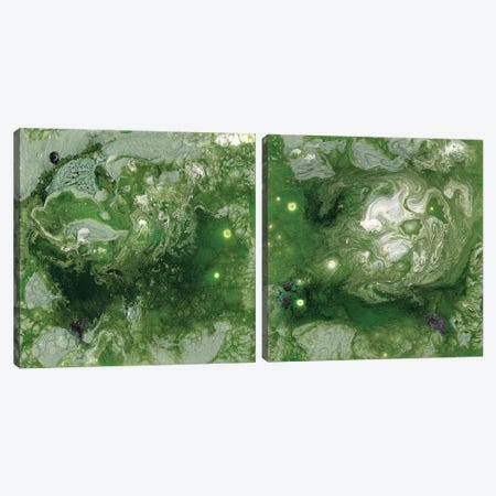 Pangaea Diptych Canvas Print Set #WIG2HSET002} by Alicia Ludwig Canvas Artwork