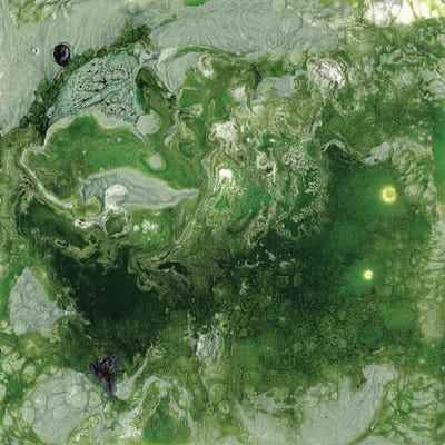 Pangaea I by Alicia Ludwig metal wall art