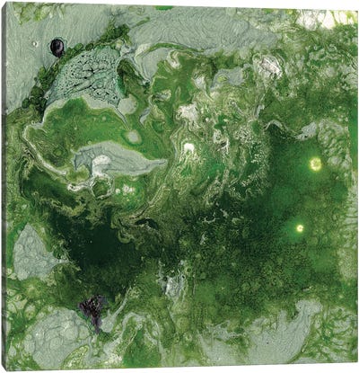 Pangaea I Canvas Art Print - Green Art