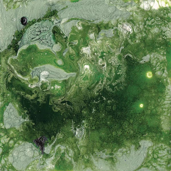 Alicia Ludwig: Pangaea I by Alicia Ludwig