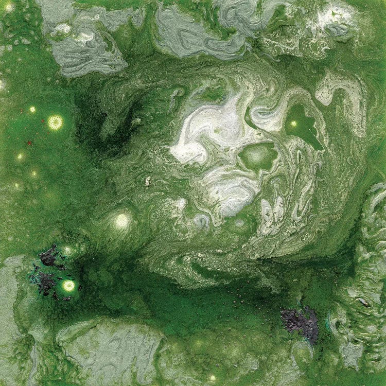 Pangaea II by Alicia Ludwig wall art
