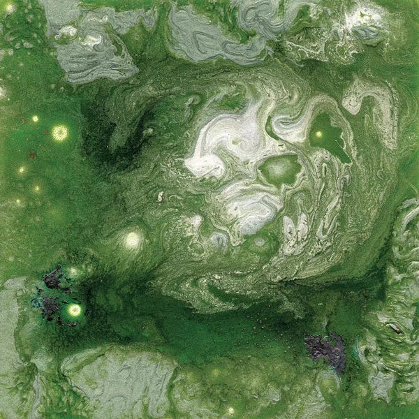 Alicia Ludwig: Pangaea II by Alicia Ludwig