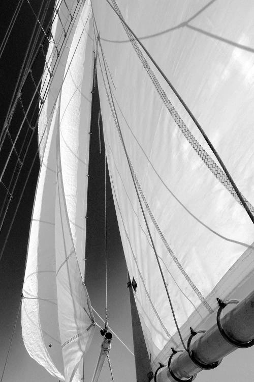 Sailboat Sails