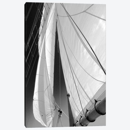 Sailboat Sails Canvas Print #WIN3} by Winthrope Hiers Canvas Artwork