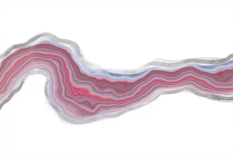 Rose Velocity Iridescence by 5by5collective canvas print