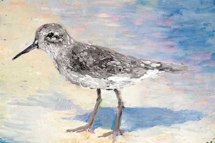 Sandpiper II