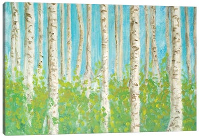 VIbrant Birchwood Canvas Art Print