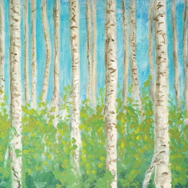 Birch Trees: VIbrant Birchwood Square by Walt Johnson