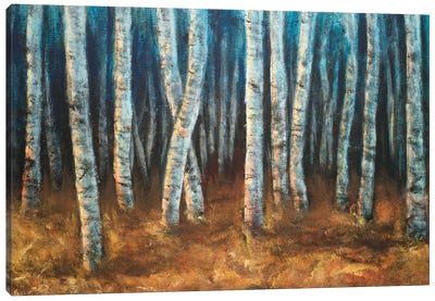 Moonlit Birchwood Canvas Art Print