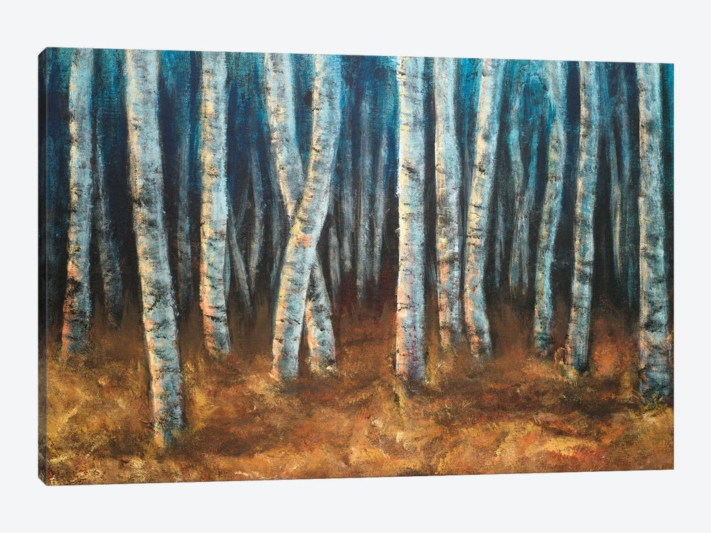 Moonlit Birchwood by Walt Johnson 1-piece Canvas Print