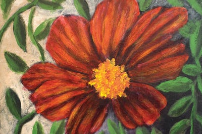 Simple Garden I by Walt Johnson framed canvas print