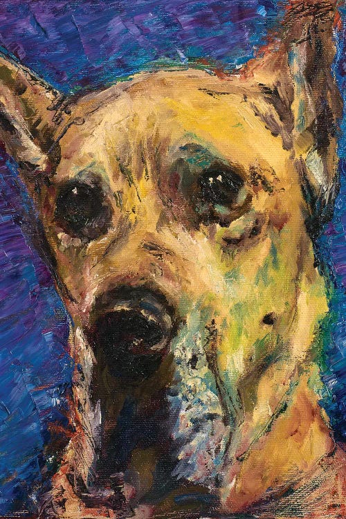 Happy Companion II by Walt Johnson wall art