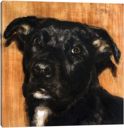 Puppy Dog Eyes I Canvas Art Print
