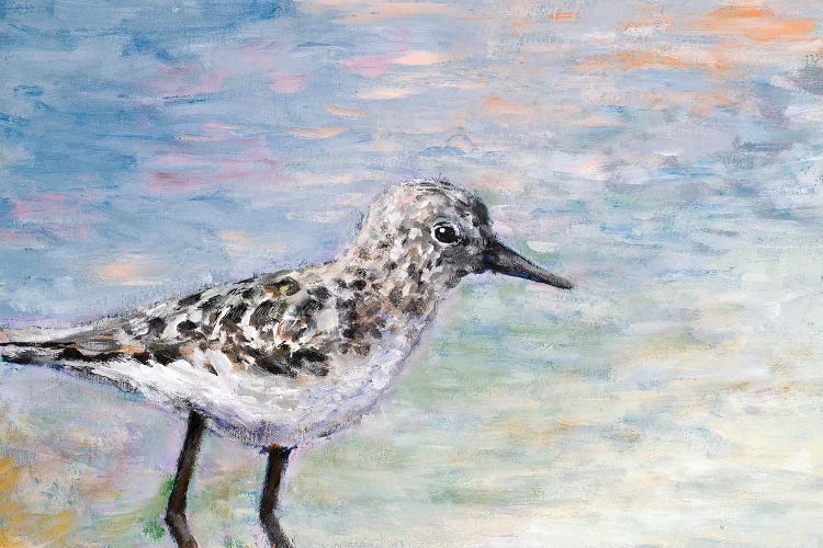 Sandpiper I