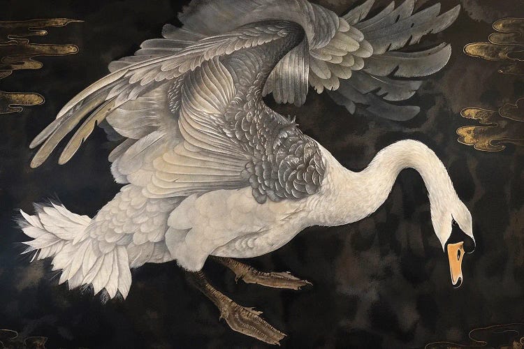 Dark Swans I by Jose Perez wall art