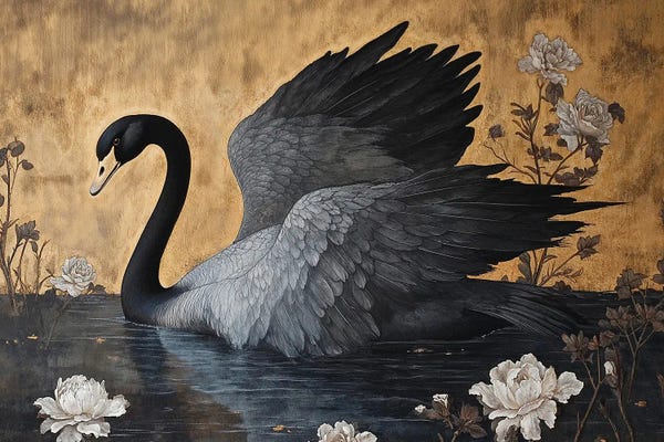 Swans: Dark Swans II by Jose Perez