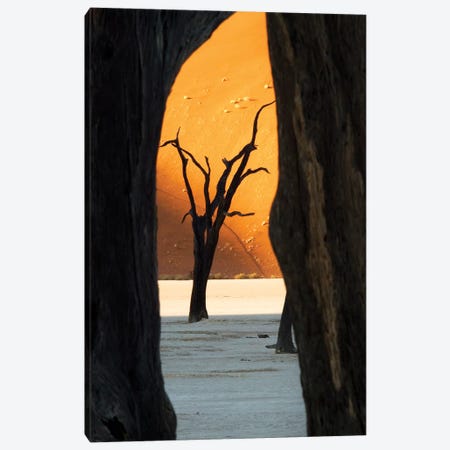 Dead Acacia Trees, Deadvlei, Namib Desert, Namib-Naukluft Park, Namibia Canvas Print #WKA2} by Wendy Kaveney Art Print