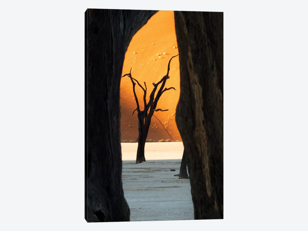 Dead Acacia Trees, Deadvlei, Namib Desert, Namib-Naukluft Park, Namibia by Wendy Kaveney 1-piece Canvas Art Print