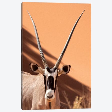 Oryx, Sossusvlei, Namib Desert, Namib-Naukluft Park, Namibia Canvas Print #WKA3} by Wendy Kaveney Canvas Print