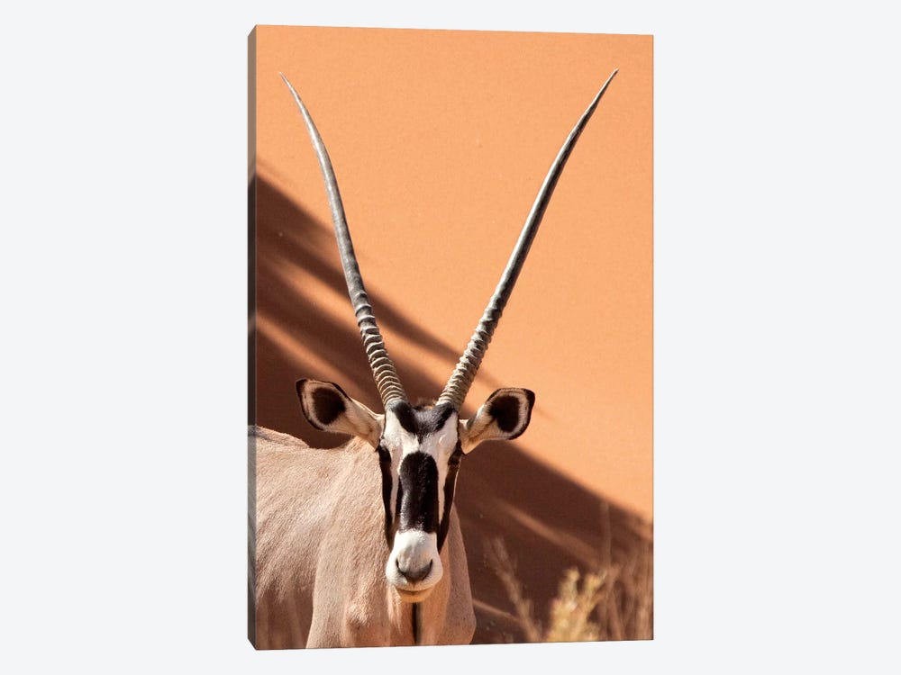 Oryx, Sossusvlei, Namib Desert, Namib-Naukluft Park, Namibia by Wendy Kaveney 1-piece Canvas Artwork
