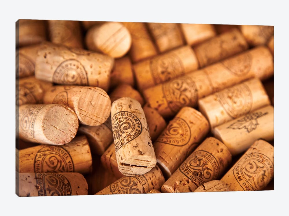 Viu Manent Wine Corks In Zoom by Wendy Kaveney 1-piece Canvas Wall Art