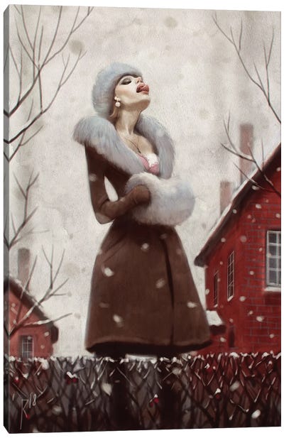 Snow Catcher Canvas Art Print - Women's Coat & Jacket Art