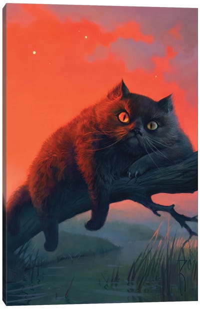 Cat Bayn Canvas Art Print - Waldemar Kazak