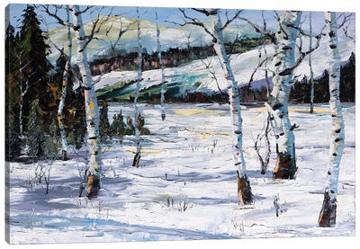 Winter Birch Canvas Art Print - Birch Tree Art