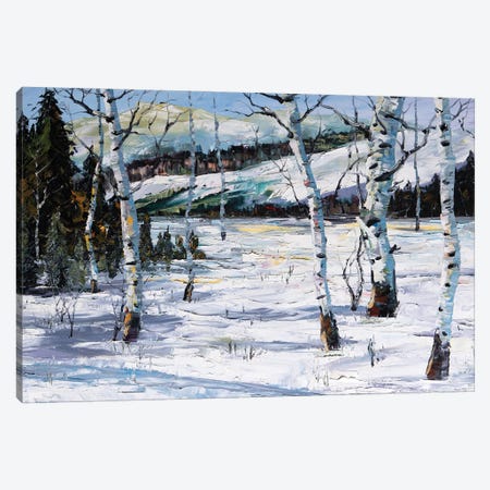 Winter Birch Canvas Print #WLA22} by Willson Lau Canvas Art