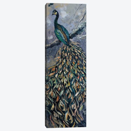 Peacock IV Canvas Print #WLA25} by Willson Lau Art Print
