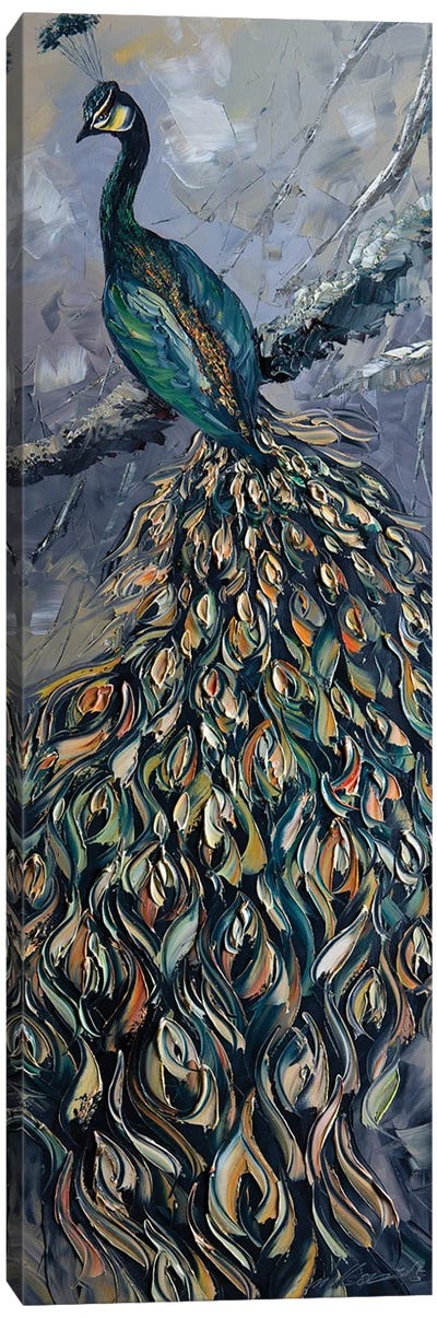 Peacock IV Canvas Art Print - Art by Asian Artists