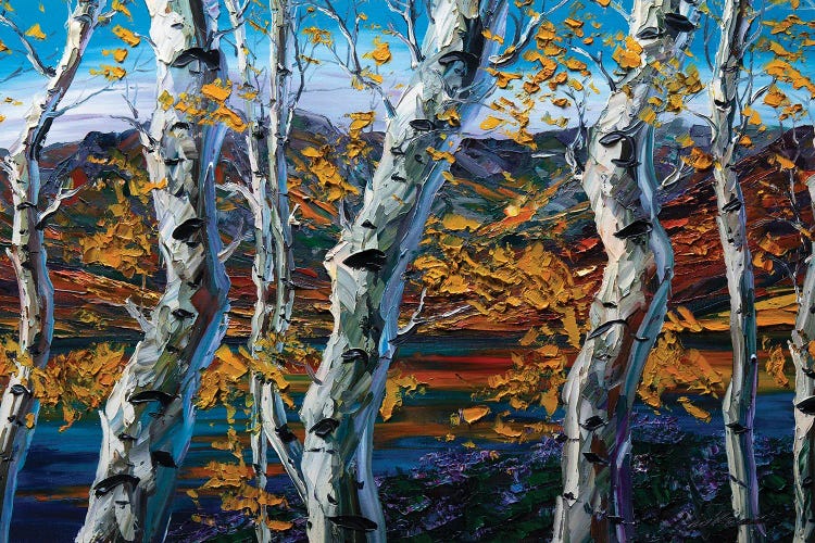 Birch Forest II