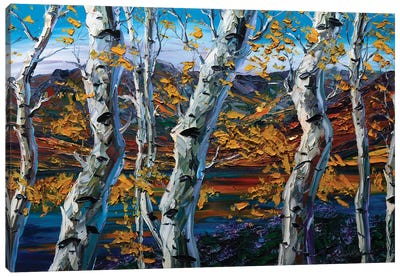 Birch Forest II Canvas Art Print - Cabin & Lodge Décor