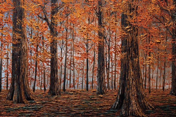 Autumn Forest