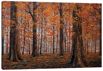 Autumn Forest Canvas Art Print - Willson Lau
