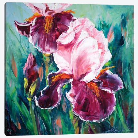 Iris I Canvas Print #WLA2} by Willson Lau Canvas Art